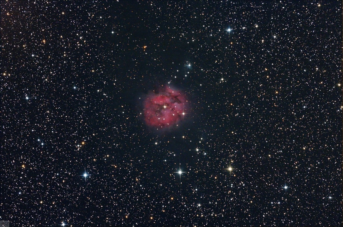 gal/QHY8L_(camera_CCD)/IC5146_20130612.jpg