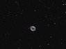 gal/QHY8L_(camera_CCD)/_thb_M57_20130812.jpg