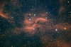 gal/QHY8L_(camera_CCD)/_thb_XnebulaHARGB_20160826.jpg