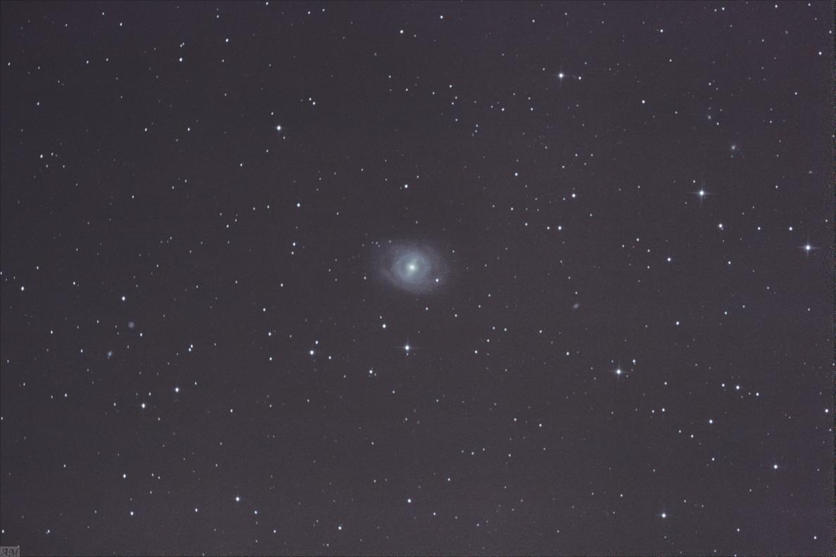 gal/galaxies_(APN_Canon_500d)/M95_20120324.jpg