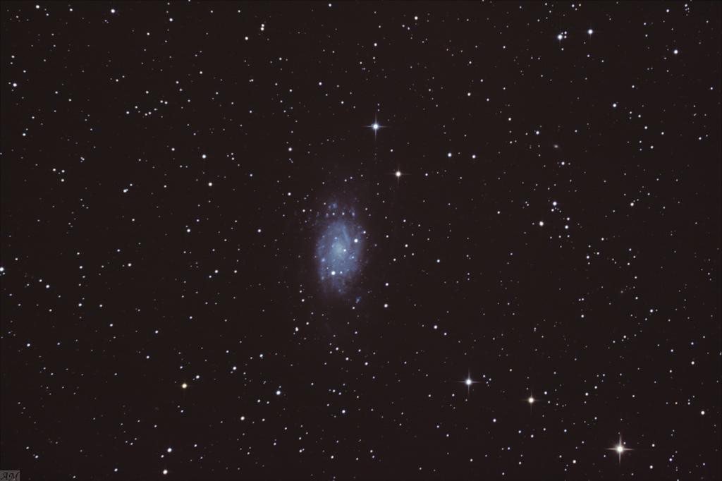 gal/galaxies_(APN_Canon_500d)/NGC2403_20111218.jpg