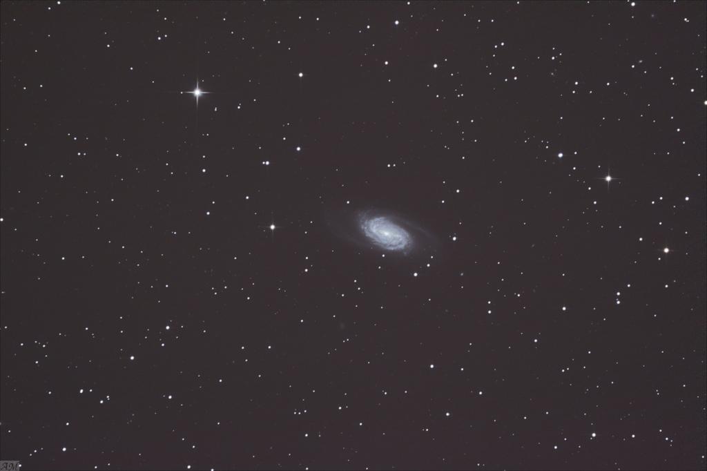gal/galaxies_(APN_Canon_500d)/NGC2903_20111224.jpg