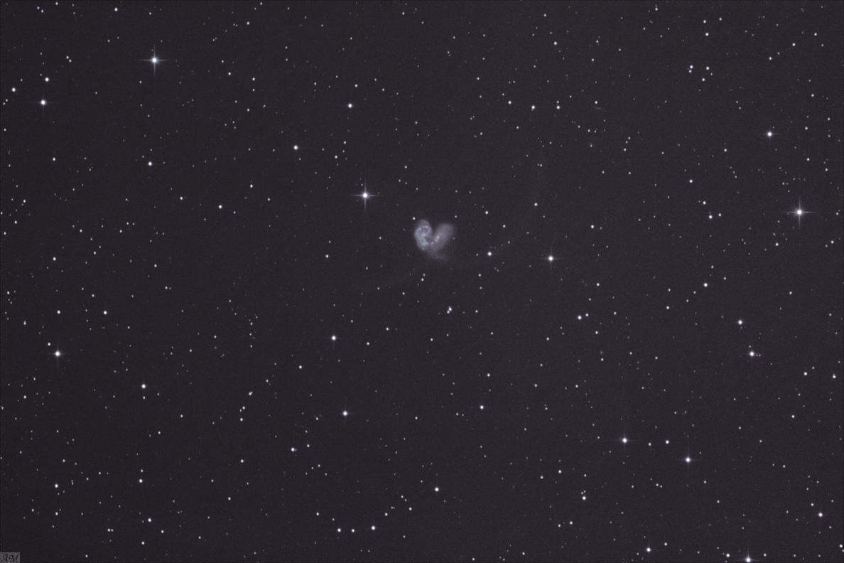 gal/galaxies_(APN_Canon_500d)/NGC4038_20120217.jpg